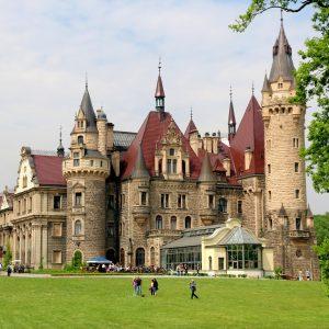 Organizacja  szkolenia 1 cz. 21-23.11.2025